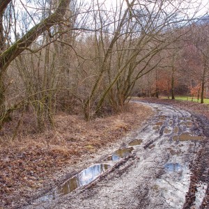 Beze jména